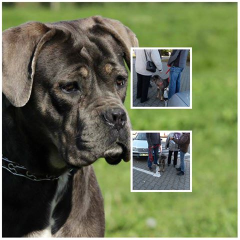 Madi pojechała do swojego domu!!!